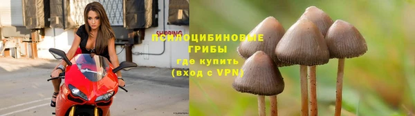 a pvp Абинск