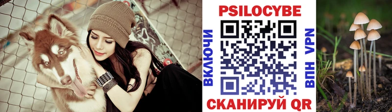 сколько стоит  Заринск  kraken ссылки  Псилоцибиновые грибы Cubensis 